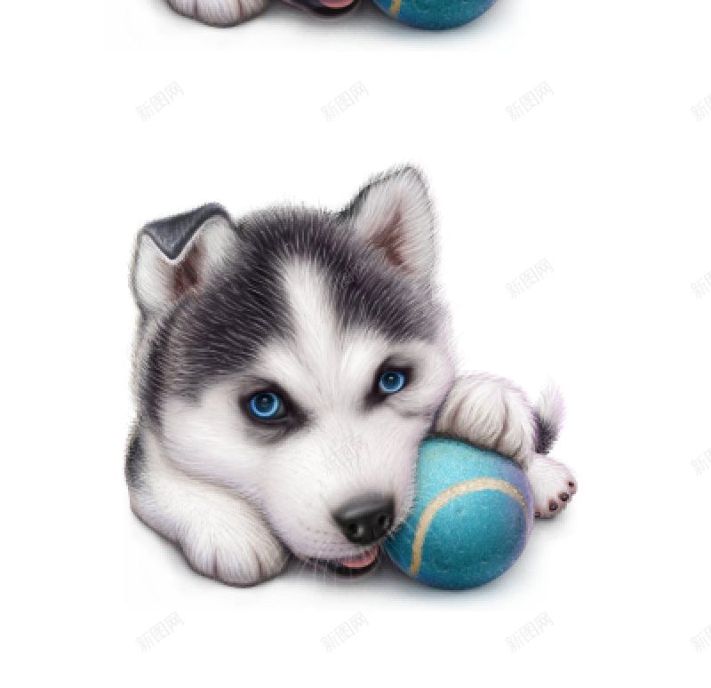 Huskyprocess真实动物图标png_新图网 https://ixintu.com Husky process 真实动物