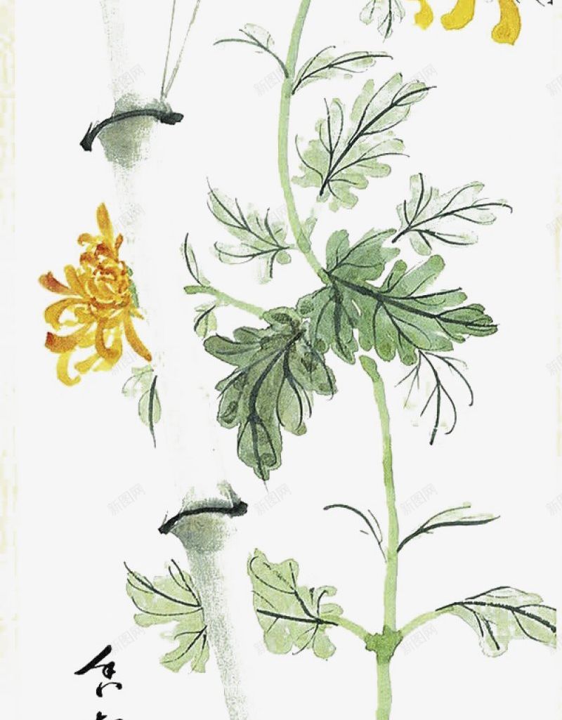 国画竹子菊花中式png免抠素材_新图网 https://ixintu.com 中式 国画竹子菊花