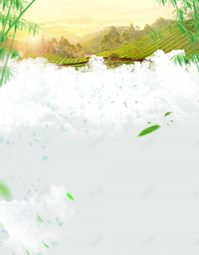 茶背景背景库jpg设计背景_新图网 https://ixintu.com 背景库 茶背景