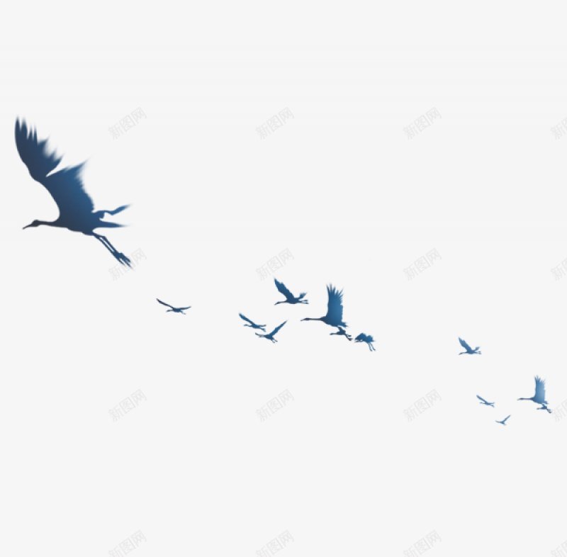 综合鸟类透明109张第19页FLPS中png免抠素材_新图网 https://ixintu.com FL 动物精灵族 第19页