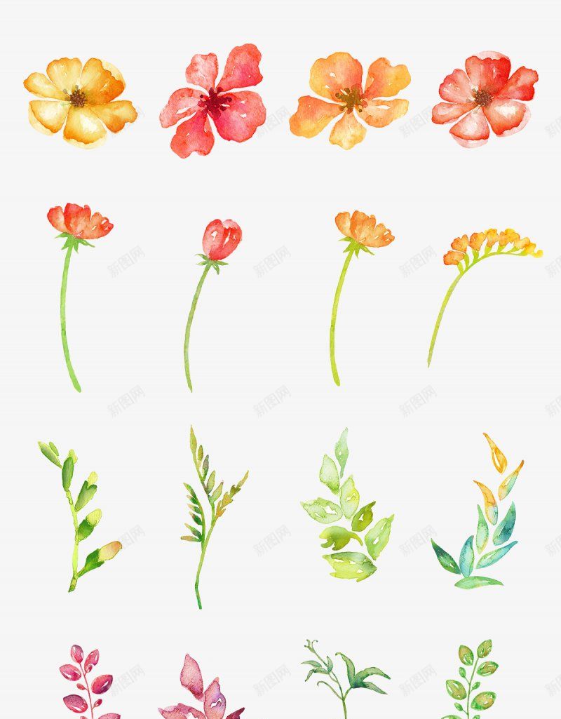 花草花朵手绘植物手绘花朵花花草草png免抠素材_新图网 https://ixintu.com 手绘 手绘花朵 植物 花朵 花花草草 花草