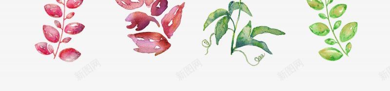 花草花朵手绘植物手绘花朵花花草草png免抠素材_新图网 https://ixintu.com 手绘 手绘花朵 植物 花朵 花花草草 花草