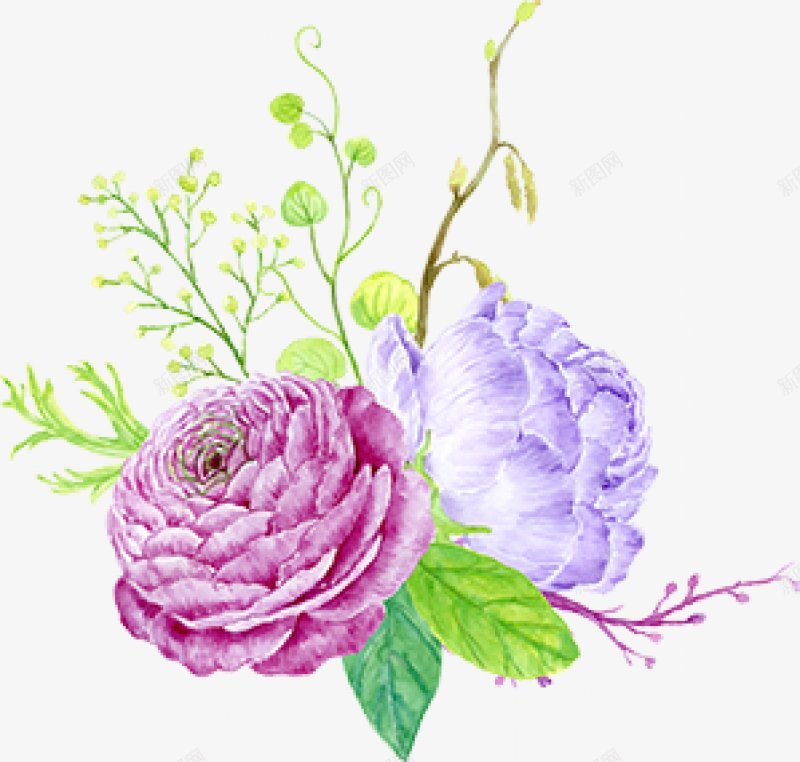 春季手绘水彩花卉手绘彩绘水彩插画png免抠素材_新图网 https://ixintu.com 免扣手绘彩绘水彩插画 春季手绘水彩花卉设计