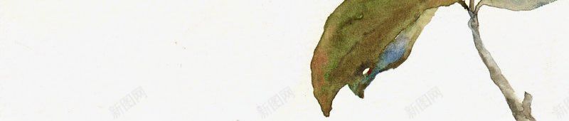 水彩小清新鲜花绿叶装饰图png免抠素材_新图网 https://ixintu.com 手绘花朵 小清新 唯美 水彩鲜花 手绘 艺术 花系 绿叶 花朵 鲜花 花 植物 花艺 水彩 装饰图