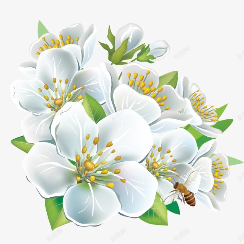 花植物花草树木png免抠素材_新图网 https://ixintu.com 木 树 植物 花 草