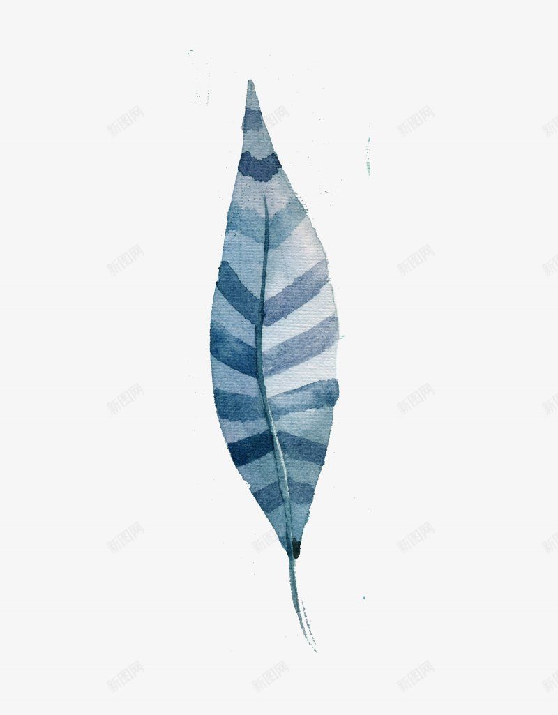 手绘水彩灰白色花羽毛插画png免抠素材_新图网 https://ixintu.com 水彩羽毛 创意贴画 花彩羽毛 唯美 灰白色羽毛 创意的 插图 取色 插图 羽毛