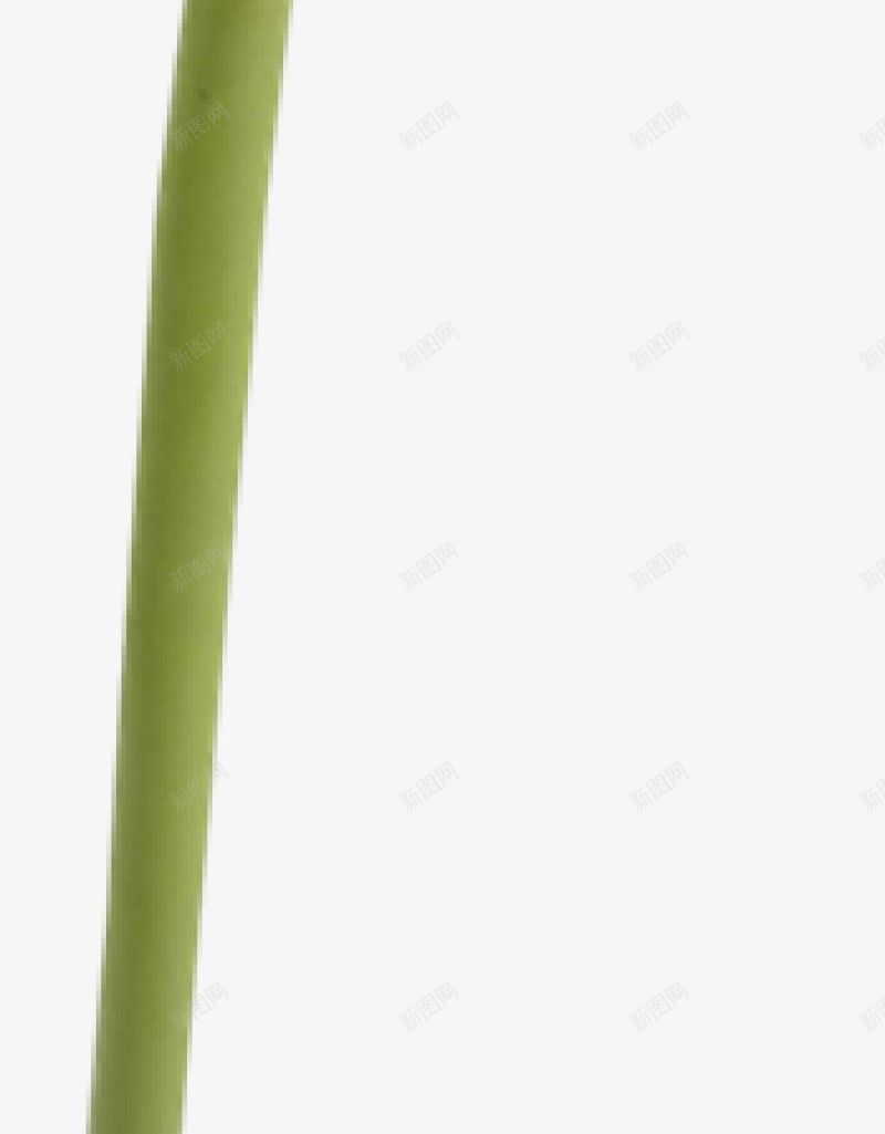 花朵十二xcbwuyi6565wuyiplant图标png_新图网 https://ixintu.com plant wuyi xcbwuyi6565 花朵十二