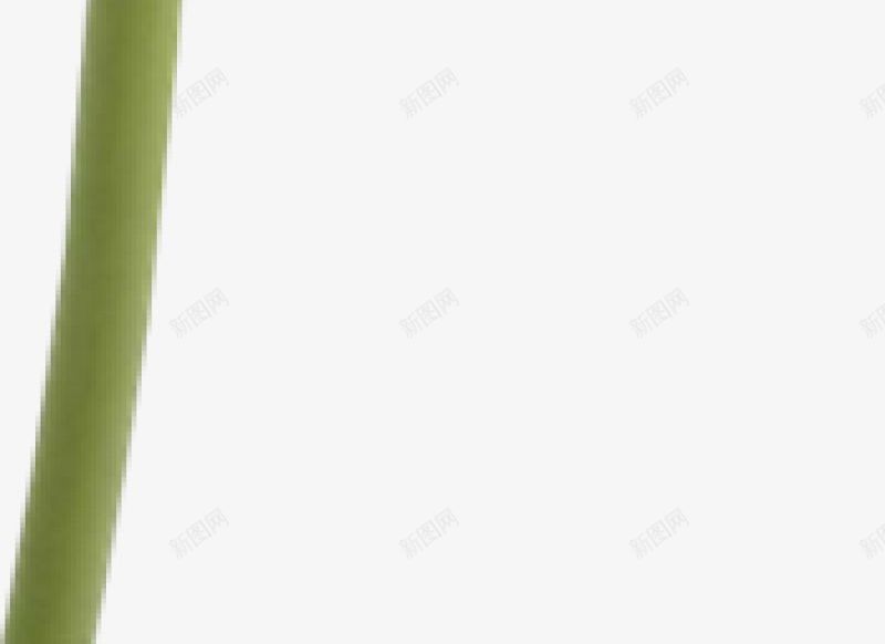 花朵十二xcbwuyi6565wuyiplant图标png_新图网 https://ixintu.com plant wuyi xcbwuyi6565 花朵十二