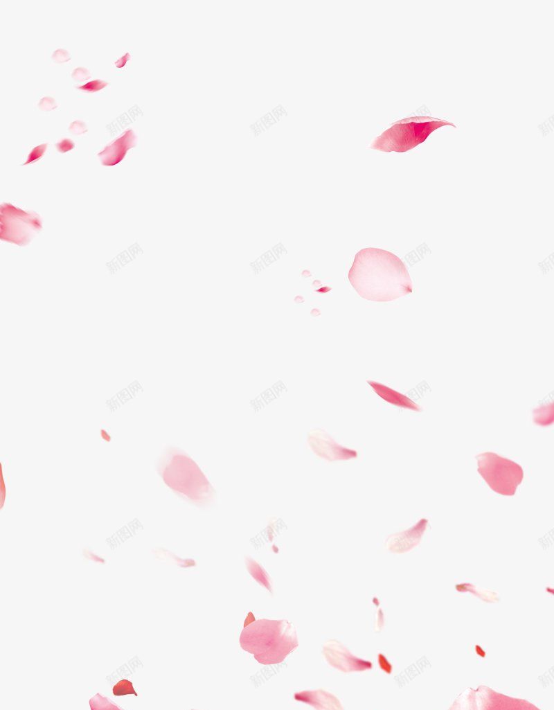 桃花花瓣装饰背景元素png免抠素材_新图网 https://ixintu.com 免抠元素 粉红色 桃花 樱花 花瓣 飘落 花开花落 春色 春美 特写 装饰 背景 元素