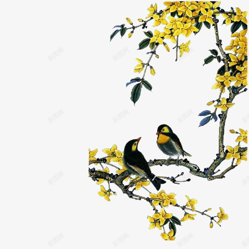 中国画花鸟透明手绘花奔png免抠素材_新图网 https://ixintu.com 中国画花鸟 手绘花奔 透明