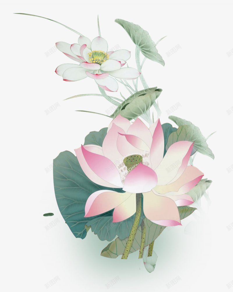 水彩小清新荷花绿叶莲蓬装饰图png免抠素材_新图网 https://ixintu.com 荷花 花苞 荷叶 莲蓬 小清新 可爱 手绘 艺术 水彩 矢量 绿叶 花朵 鲜花 花 花艺 水彩 装饰图