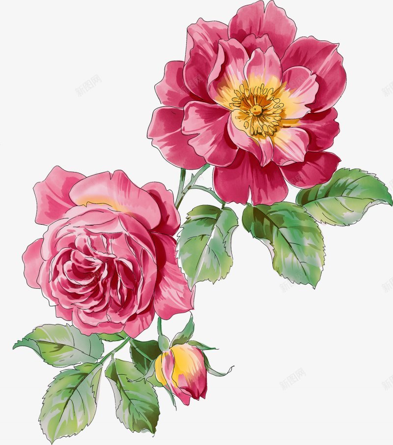 水彩小清新鲜花绿叶装饰图png免抠素材_新图网 https://ixintu.com 手绘花朵 小清新 手绘花 红色 花苞 水彩鲜花 手绘 艺术 花系 水彩 矢量 绿叶 花朵 鲜花 花 植物 花艺 水彩 装饰图