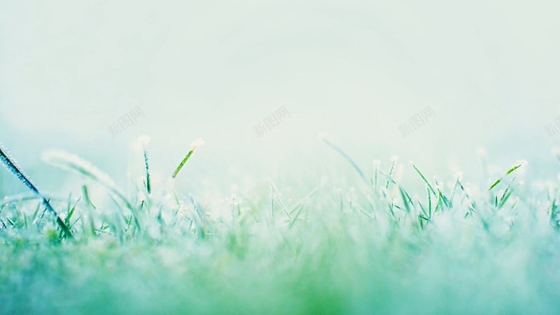 唯美淡雅的草地好看的ppt背景pptjpg设计背景_新图网 https://ixintu.com ppt 唯美淡雅的草地 好看的ppt背景图片