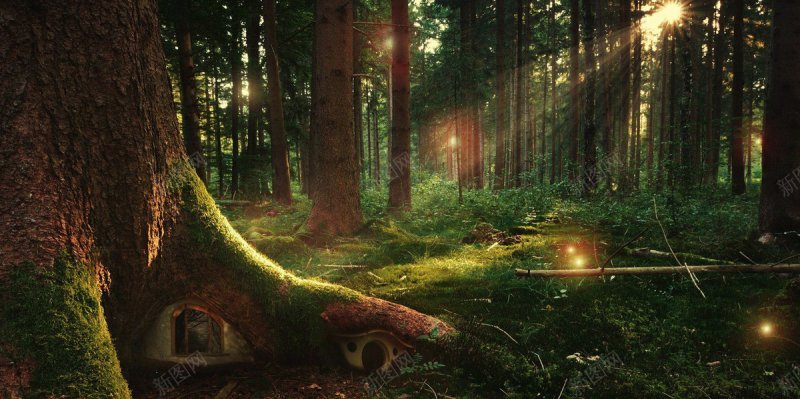 森林梦幻背景图梦幻森系jpg设计背景_新图网 https://ixintu.com 森林梦幻背景图 梦幻森系