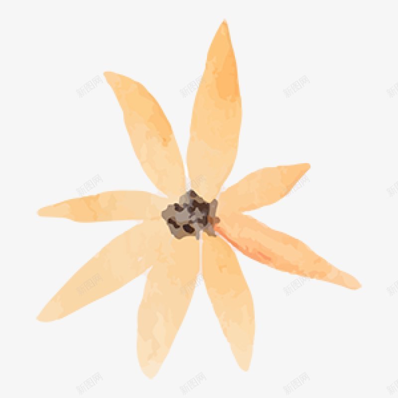 水彩手绘花卉图手绘彩绘水彩插画png免抠素材_新图网 https://ixintu.com 免扣手绘彩绘水彩插画 水彩手绘花卉图
