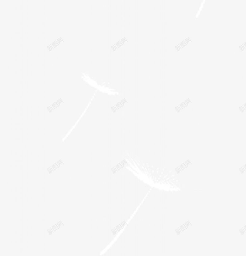 蒲公英图png免抠素材_新图网 https://ixintu.com 图 蒲公英