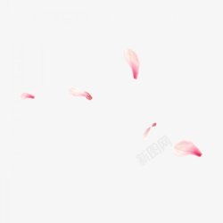 手绘粉色花瓣装饰图案素材