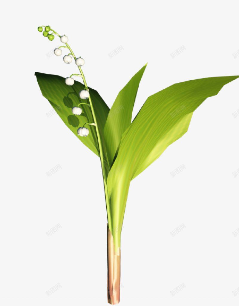 花枝花草第集植物Botany图标png_新图网 https://ixintu.com 植物Botany 花枝花草图片第集