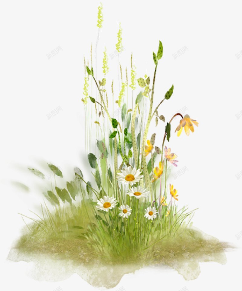 多种草丛透明植物花草树木植物花草树木png免抠素材_新图网 https://ixintu.com 多种草丛透明图片 树木 植物 花草 花草树木植物