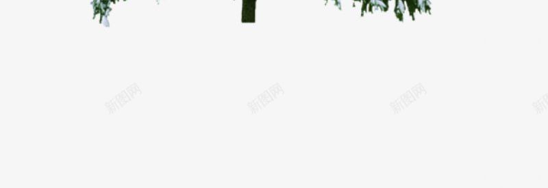 绿植草木花卉专注电商资源采集104透明绿色水果png免抠素材_新图网 https://ixintu.com 专注电商资源采集 图片 干净 栀子 植物 水果 绿植草木花卉 绿色 透明 鲜花