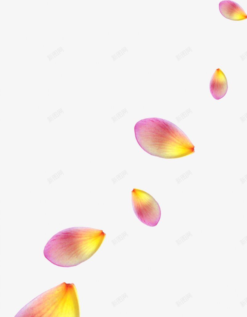 漂浮的鲜艳花瓣电商设计网页设计png免抠素材_新图网 https://ixintu.com 促销 完结撒花 悬浮 情人节 手绘感 春季 洒落 洒落花瓣 浪漫 漂浮 电商设计 粉色 红色 网页设计 花 花瓣 花草 鲜艳花瓣