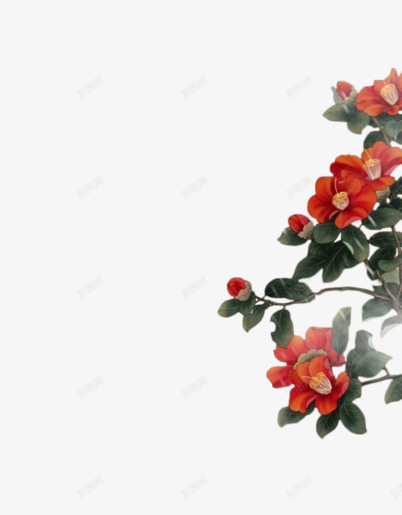 绿植草木花卉专注电商资源采集214透明绿色水果png免抠素材_新图网 https://ixintu.com 专注电商资源采集 图片 干净 栀子 植物 水果 绿植草木花卉 绿色 透明 鲜花