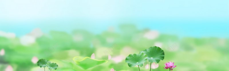 夏季荷花荷叶全屏绿色系树叶jpg设计背景_新图网 https://ixintu.com 夏季 绿色系树叶 背景素材 荷花荷叶 高清全屏
