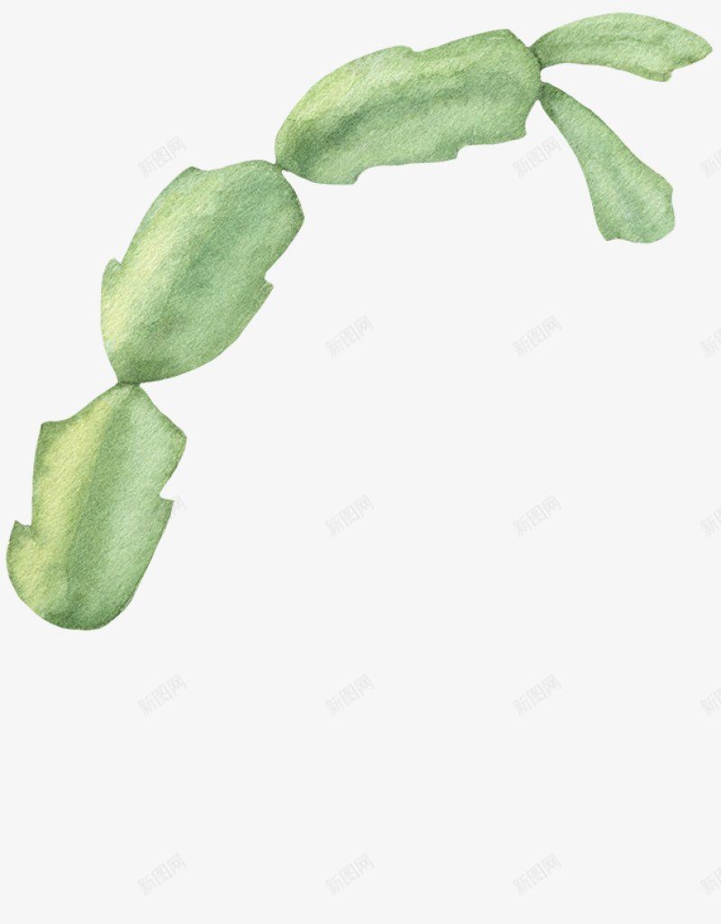 植物21png免抠素材_新图网 https://ixintu.com 免扣 免扣植物