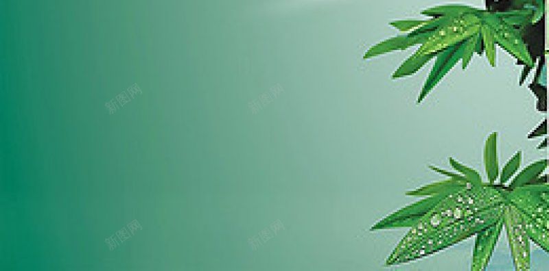小清新绿竹边框H5H5jpg设计背景_新图网 https://ixintu.com H5 小清新绿竹边框H5