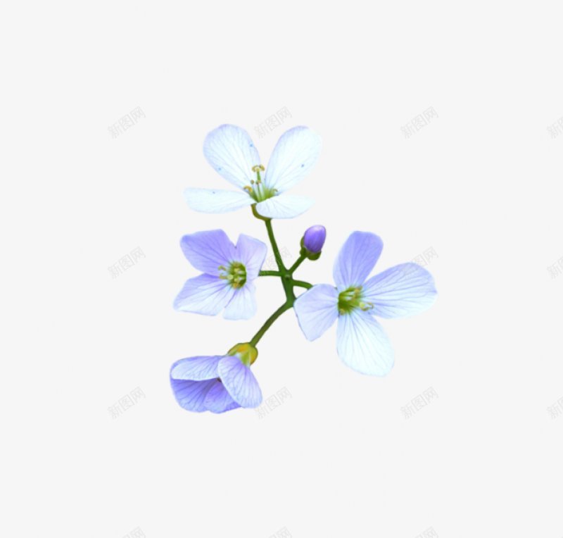 透明28透明透明合成情人节新年海报电商春节png免抠素材_新图网 https://ixintu.com 元宵节 免扣 合成 情人节 新年 春节 海报 电商 透明 透明免扣