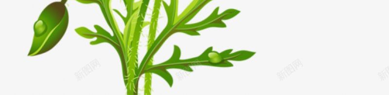 花花花草草png免抠素材_新图网 https://ixintu.com 花 花花草草