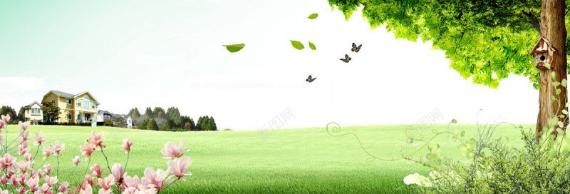 清爽生态家具海报bannerbannerjpg设计背景_新图网 https://ixintu.com banner