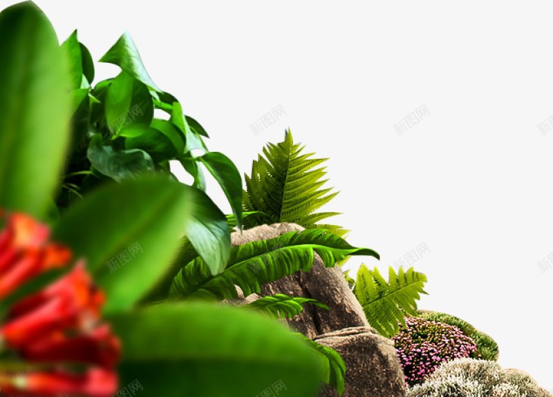 绿色海报合成植物灬小狮子灬3植物鲜花透明图案鲜花植png免抠素材_新图网 https://ixintu.com 3植物鲜花 叶子 手绘花朵 植物 竹叶 粉色花朵 红色花朵 蓝色花朵 透明图案 鲜花