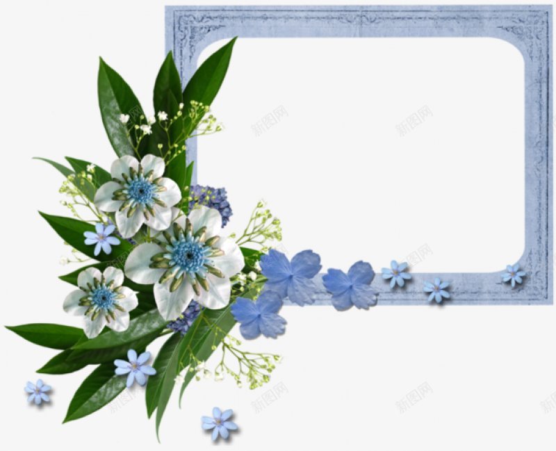 国外创意边框相框鲜花花卉花朵相框的6创意png免抠素材_新图网 https://ixintu.com 叶子边框 国外创意边框相框 树叶装饰边框 清新 清新风格 热带植物 绿叶 透明 鲜花花卉花朵相框