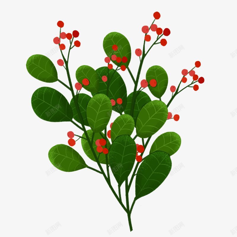 的树叶叶子嫩叶植物鲜花花卉绿叶小清新夏日png免抠素材_新图网 https://ixintu.com 3植物鲜花 叶子 夏日装饰 嫩叶 小清新 树叶 植物鲜花 绿叶 花卉 透明图案