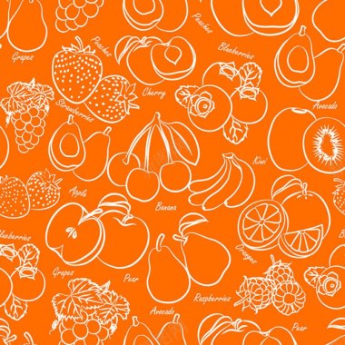 精美的手绘水果橙色矢量时尚背景