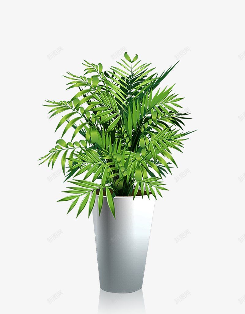 绿色植物盆栽盆栽植物png免抠素材_新图网 https://ixintu.com 植物 盆栽 绿色植物