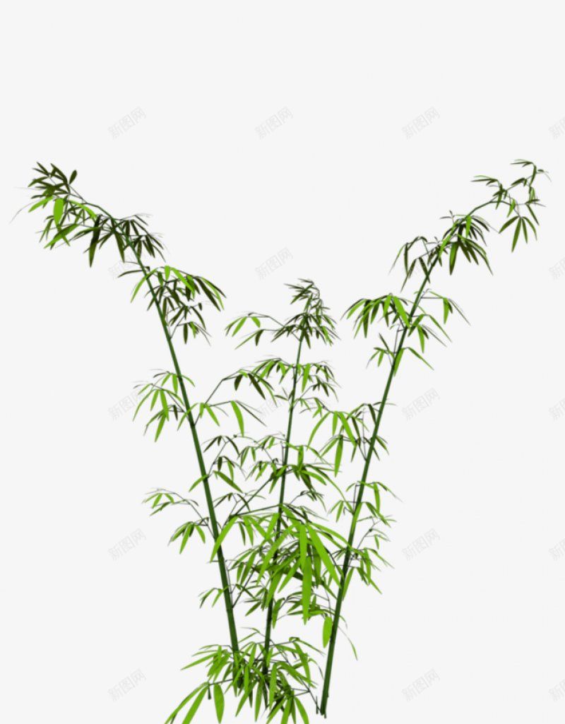 绿植草木花卉专注电商资源采集51透明绿色水果鲜png免抠素材_新图网 https://ixintu.com 专注电商资源采集 图片 干净 栀子 植物 水果 绿植草木花卉 绿色 透明 鲜花