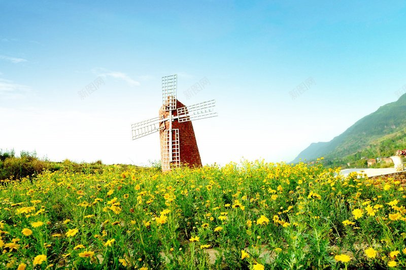 花海唯美全屏绿色系树叶jpg设计背景_新图网 https://ixintu.com 唯美 绿色系树叶 背景素材 花海 高清全屏