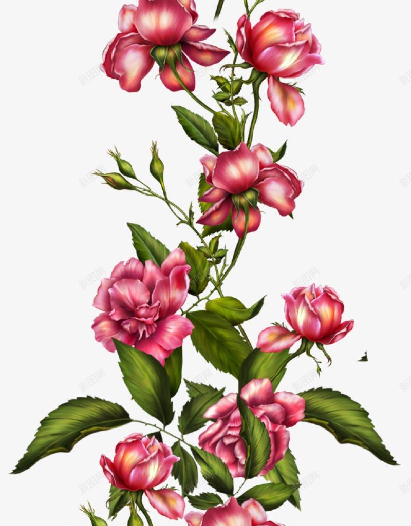 高清精致手绘花簇png免抠素材_新图网 https://ixintu.com 手绘花朵 花 花束 花簇 卡通花卉 卡通花朵 水彩花卉 水彩植物 水彩花朵 清新植物 优雅花朵 优雅花卉 花卉植物 植物开花 花卉插画 干花 竹花朵 树叶 文化艺术绘画