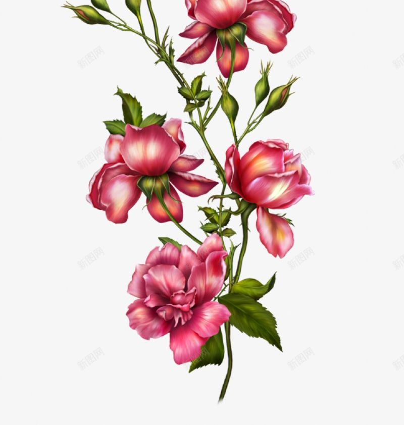 高清精致手绘花簇png免抠素材_新图网 https://ixintu.com 手绘花朵 花 花束 花簇 卡通花卉 卡通花朵 水彩花卉 水彩植物 水彩花朵 清新植物 优雅花朵 优雅花卉 花卉植物 植物开花 花卉插画 干花 竹花朵 树叶 文化艺术绘画