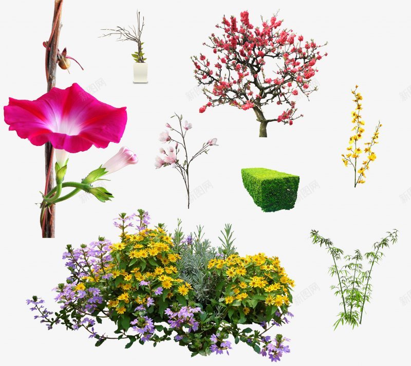 花草树木花草丛林格式透明图png免抠素材_新图网 https://ixintu.com 格式 花草树木花草丛林 透明图