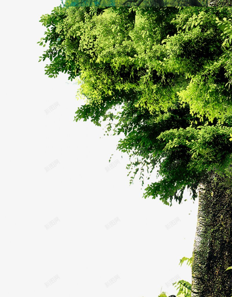 绿色海报合成植物灬小狮子灬3植物鲜花透明图案鲜花植png免抠素材_新图网 https://ixintu.com 3植物鲜花 叶子 手绘花朵 植物 竹叶 粉色花朵 红色花朵 蓝色花朵 透明图案 鲜花
