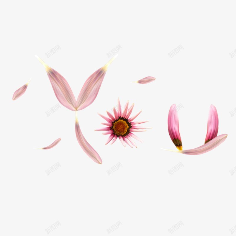 透明29透明透明合成情人节新年海报电商春节元宵png免抠素材_新图网 https://ixintu.com 元宵节 免扣 合成 情人节 新年 春节 海报 电商 透明 首页