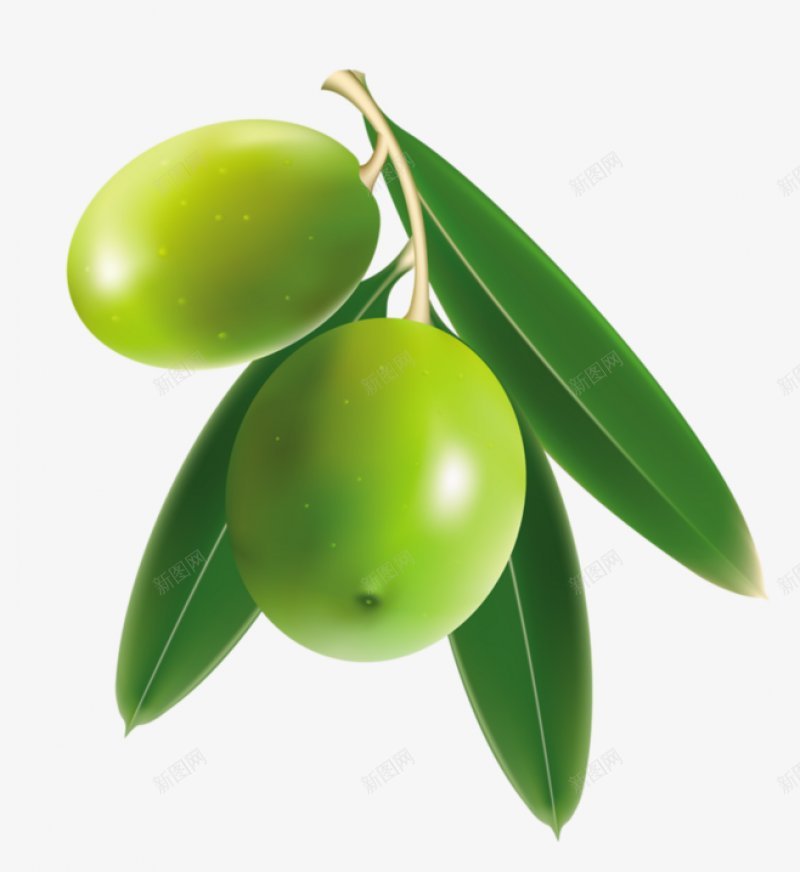 专注电商资源采集透明苹果草莓西红柿猕猴桃西瓜辣png免抠素材_新图网 https://ixintu.com 专注电商资源采集 猕猴桃 苹果 草莓 蔬菜食品 西瓜 西红柿 辣椒 透明图片 黄瓜