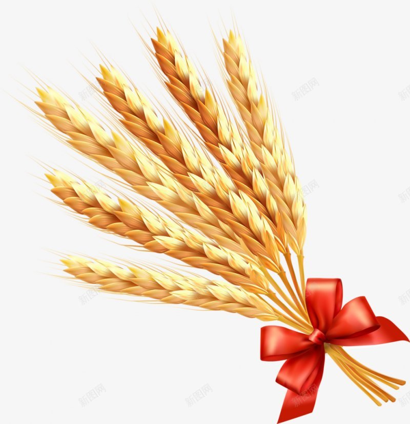 麦穗食材蔬菜水果画板精细划分标明分图标png_新图网 https://ixintu.com 免扣两秒视觉 标明分类名称 麦穗