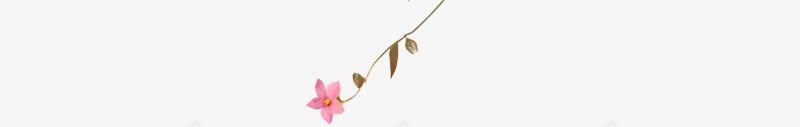 叶子透明花duopng免抠素材_新图网 https://ixintu.com 叶子 花duo 透明