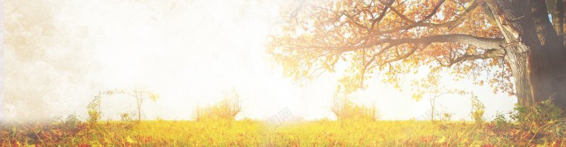 1920全屏海报淘宝天猫banner电商交流群jpg设计背景_新图网 https://ixintu.com 1920全屏海报 淘宝天猫banner 电商设计交流群318860393