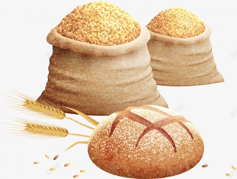 麦穗食材蔬菜水果画板精细划分标明分图标png_新图网 https://ixintu.com 为避免造成刷屏 也欢迎交朋友的 免扣两秒视觉 标明分类名称 麦穗