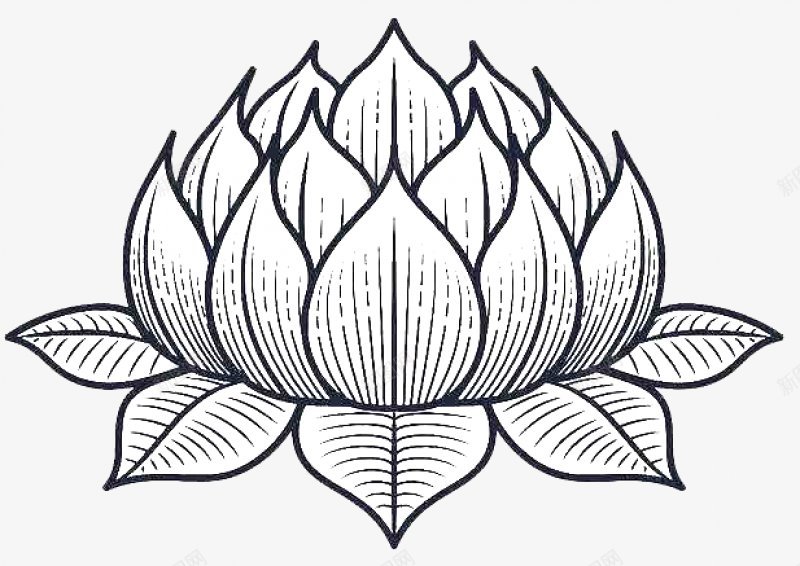 莲花中国风中国风png免抠素材_新图网 https://ixintu.com 中国风 莲花